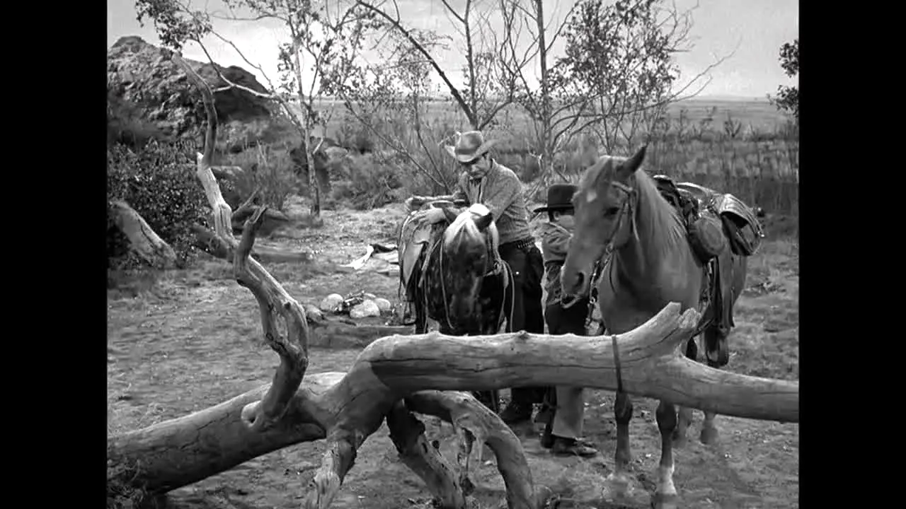Rawhide live