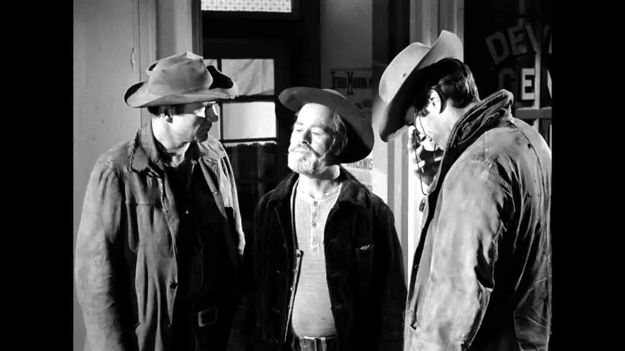 Rawhide live