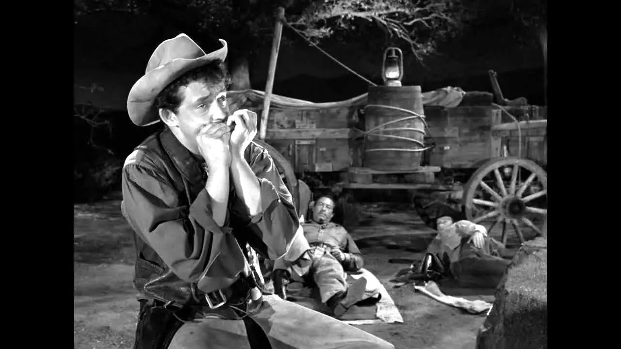 Rawhide live