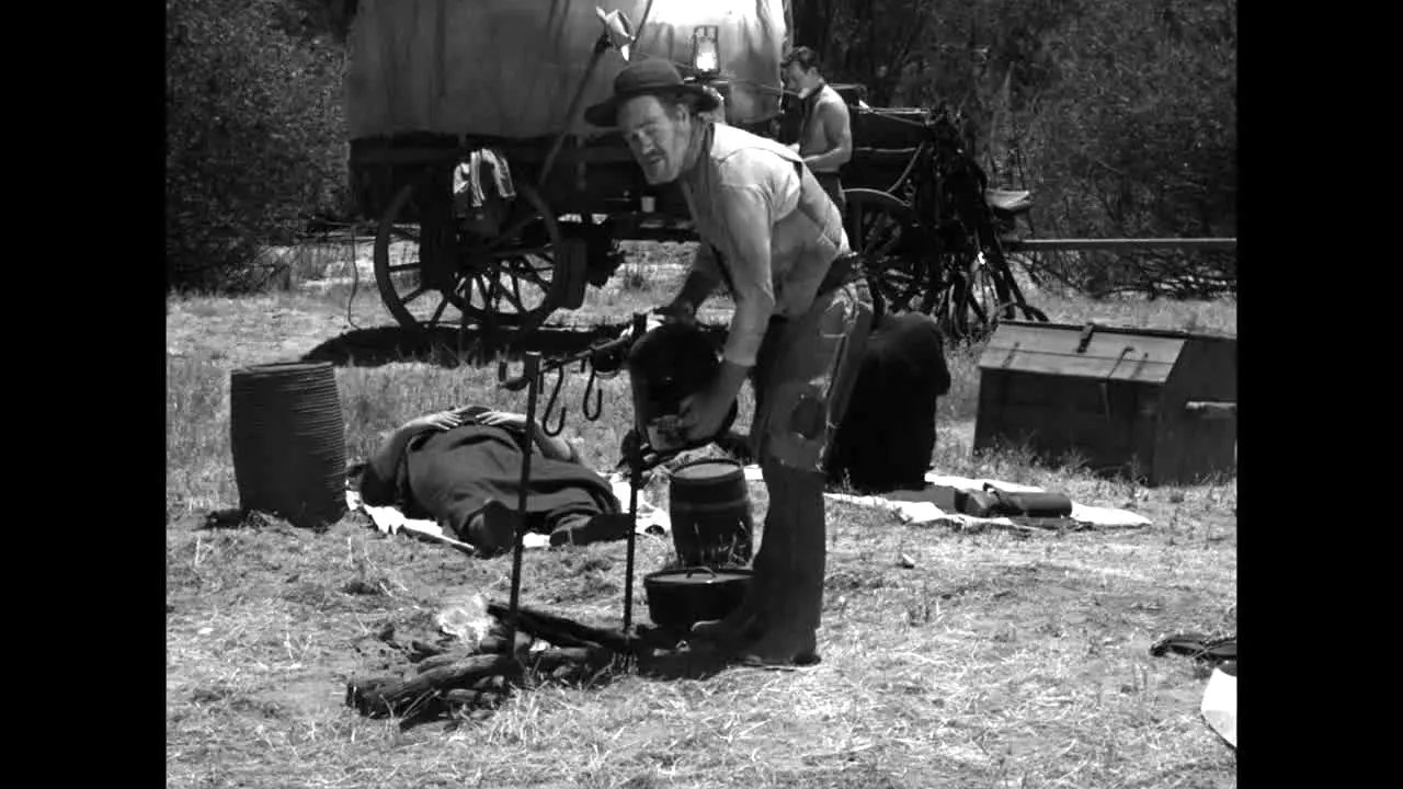 Rawhide live