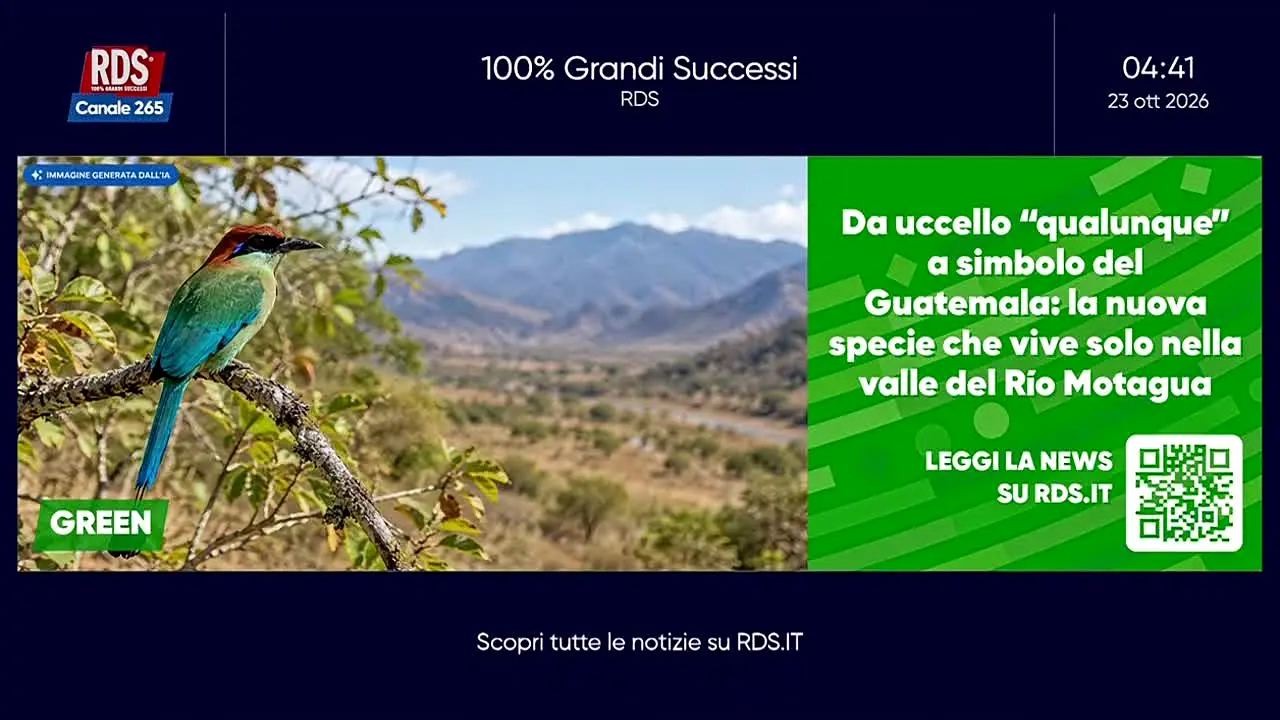 RDS Social TV live