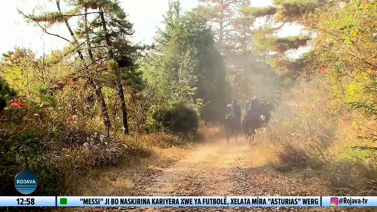 Rojava TV en direct