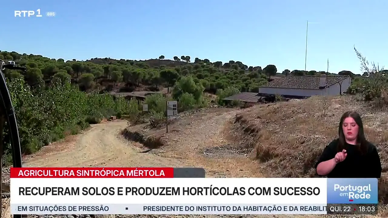 RTP 1 live