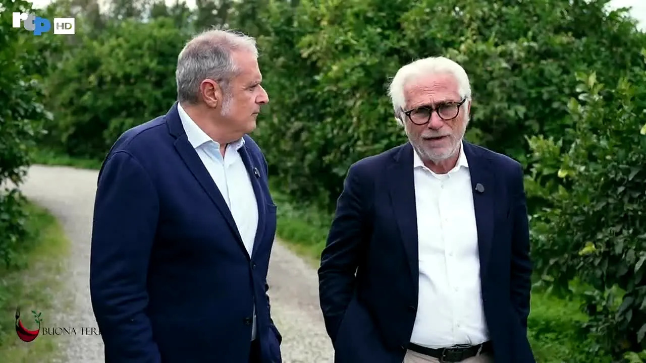 Rtp TV na żywo