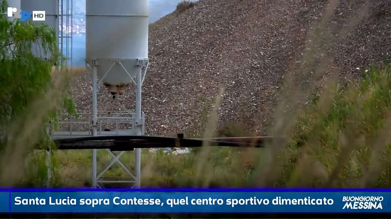 Rtp TV live