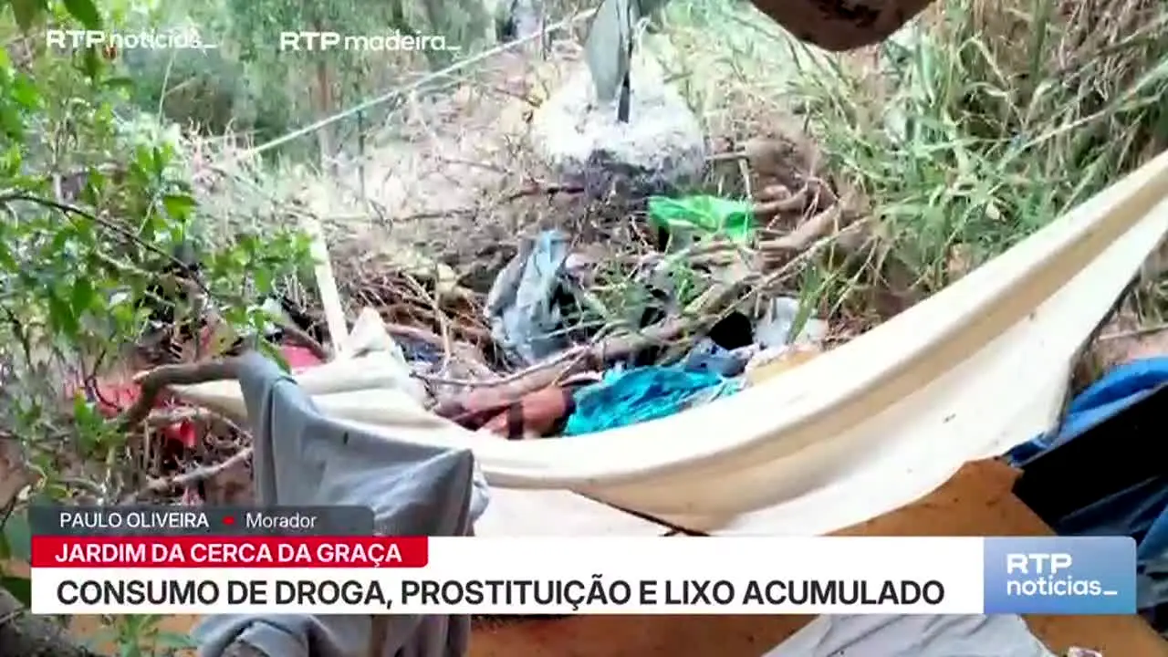RTP Madeira live