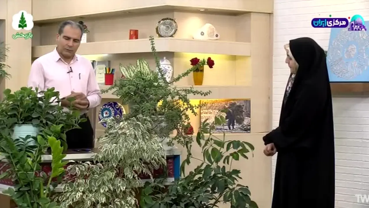 Sabz TV live