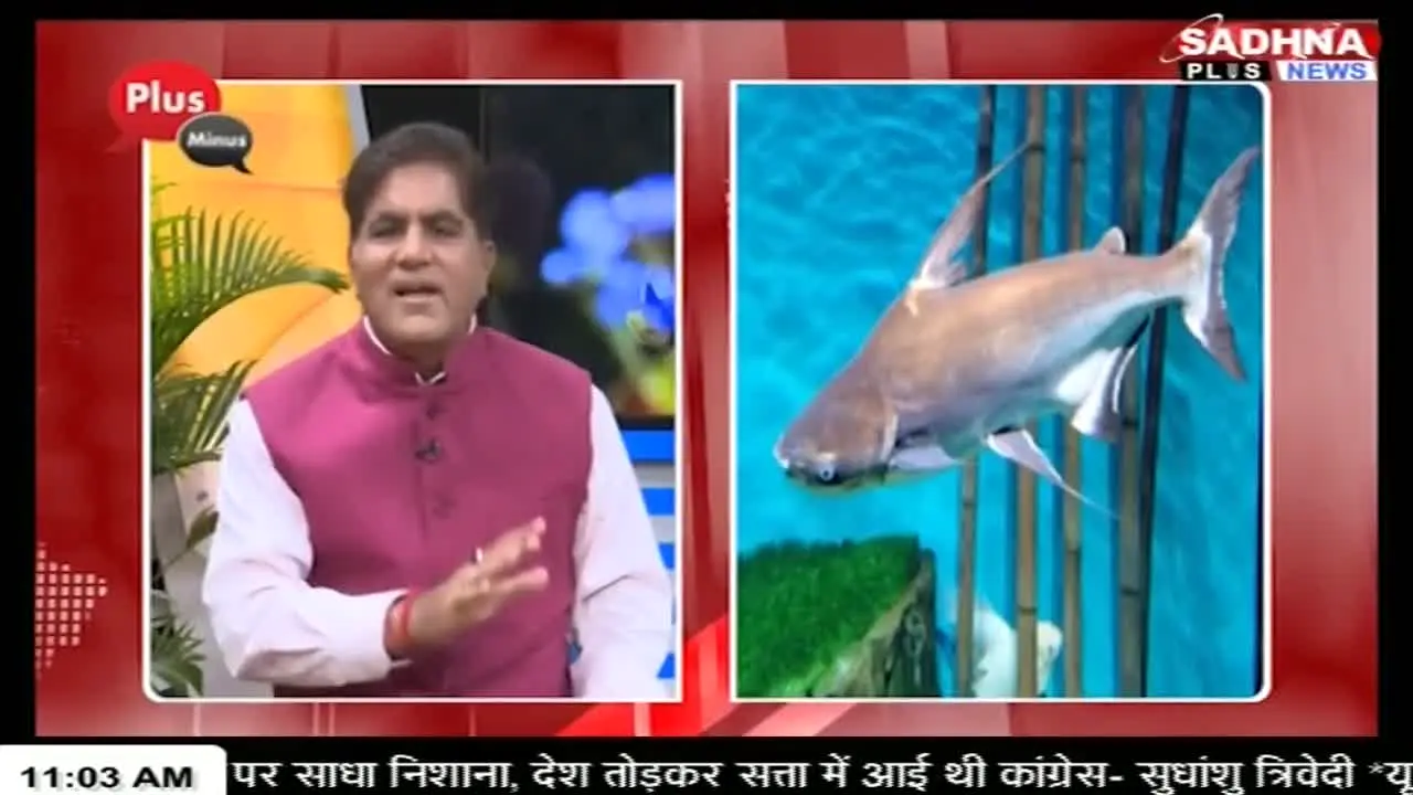Sadhna Plus News live