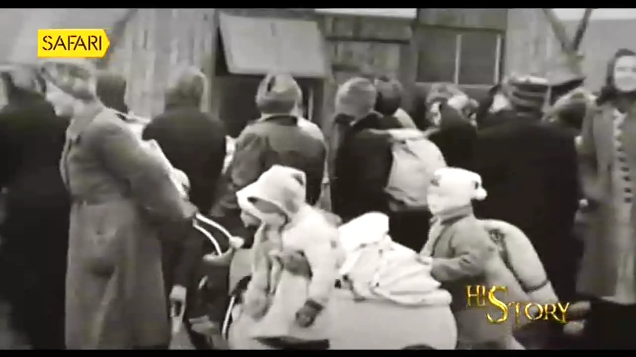 Safari TV in diretta
