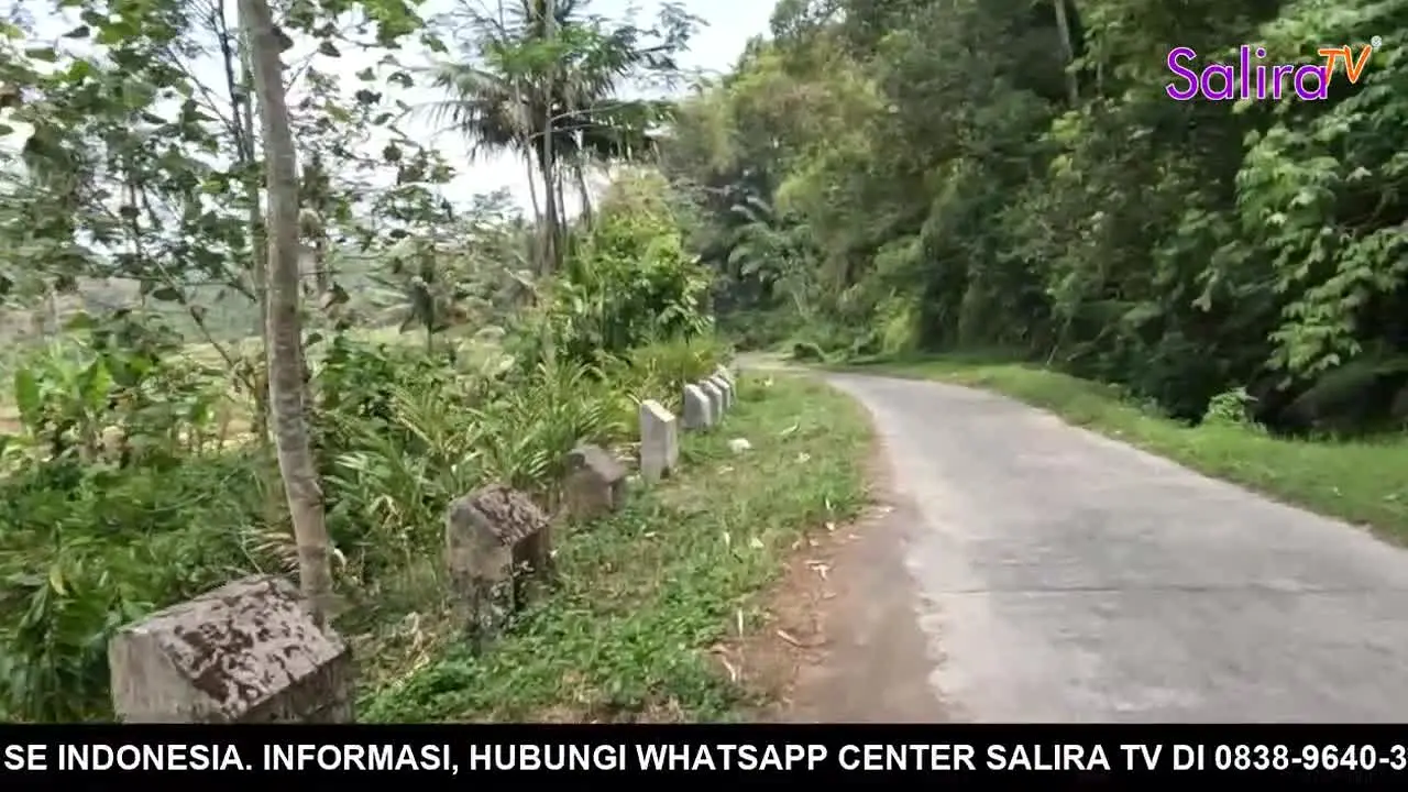 Salira TV live
