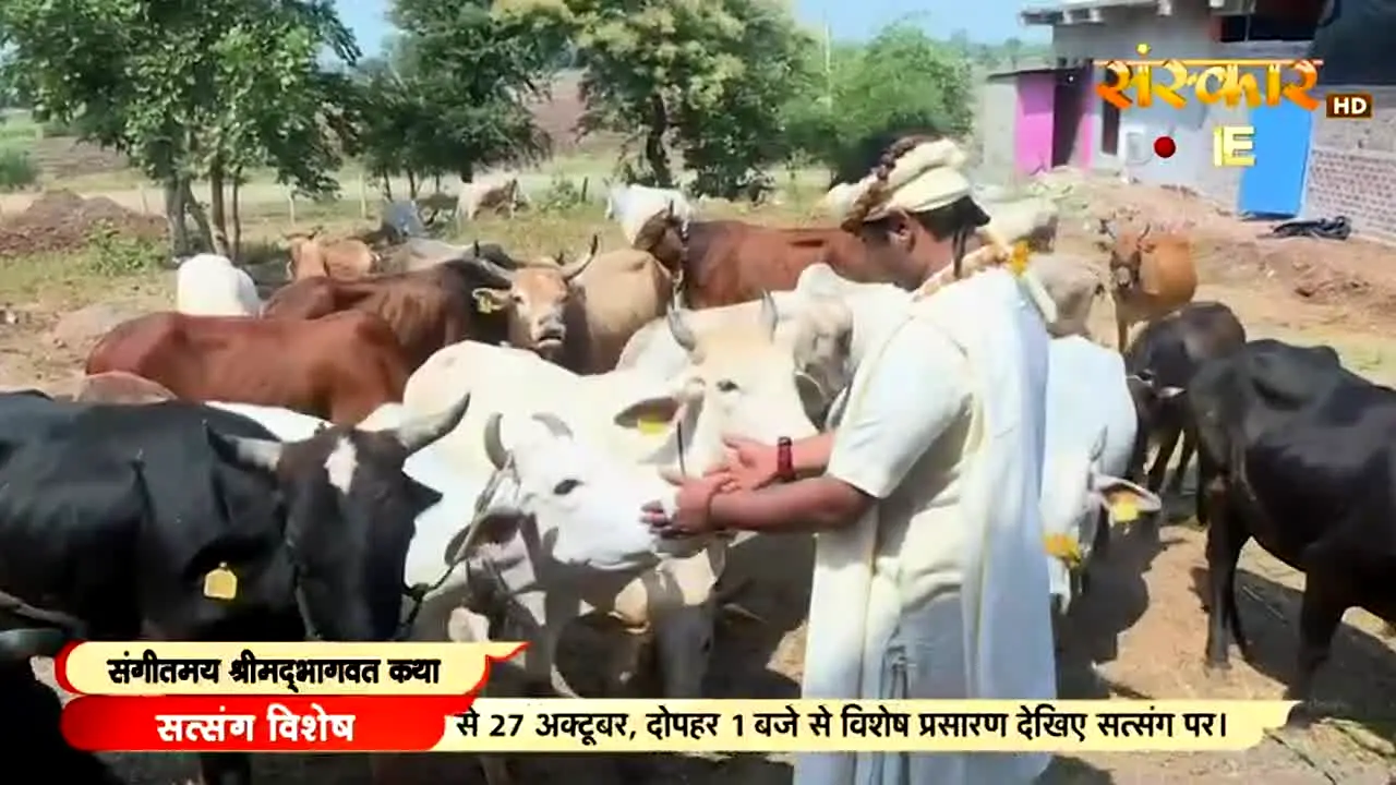 Sanskar TV en direct
