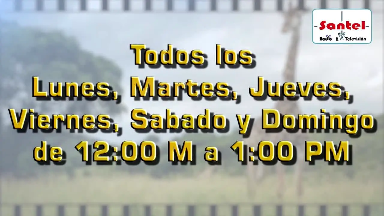 Santel TV live