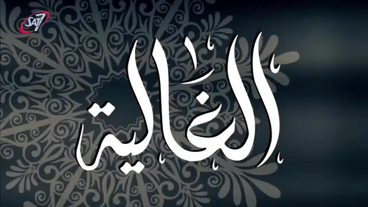 Sat 7 Arabic na żywo