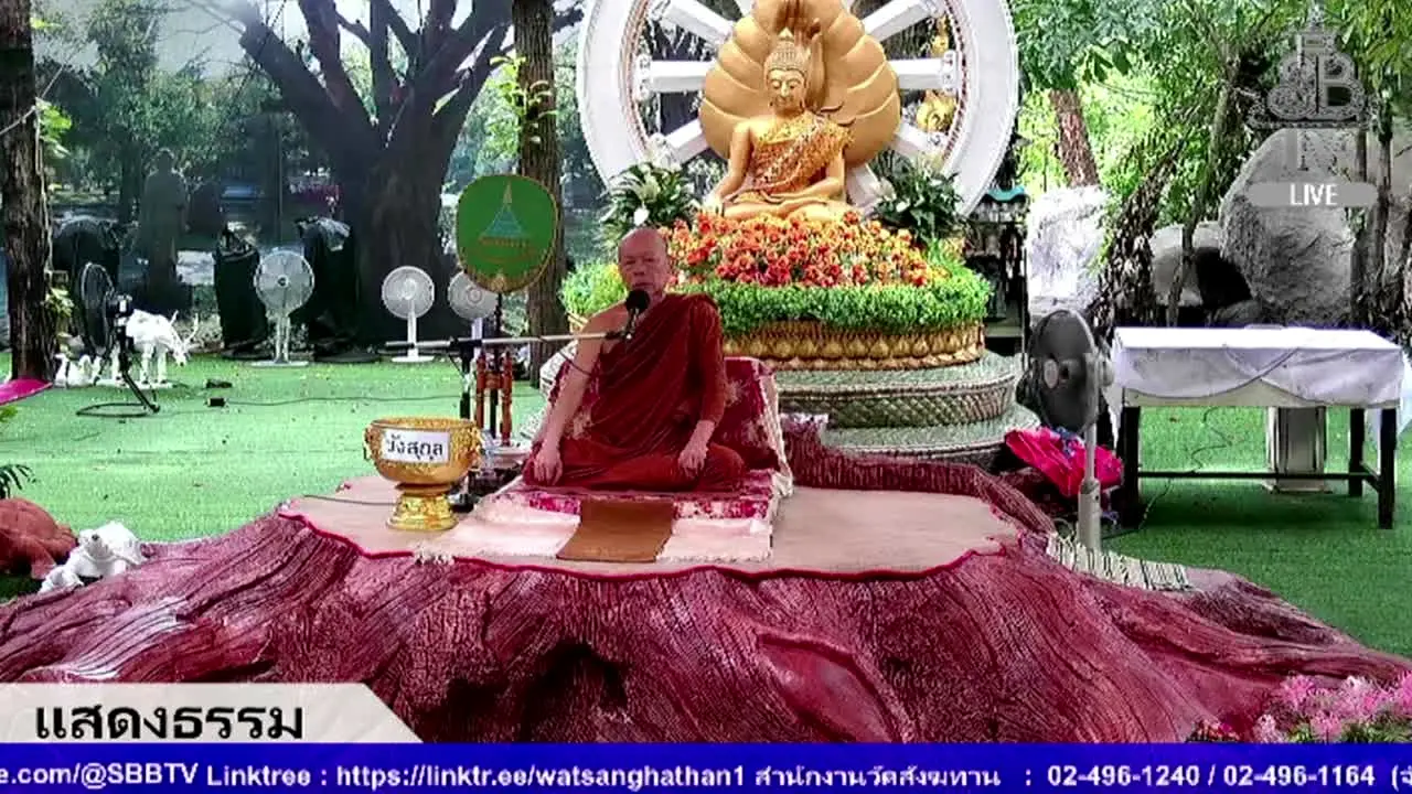 SBB TV live