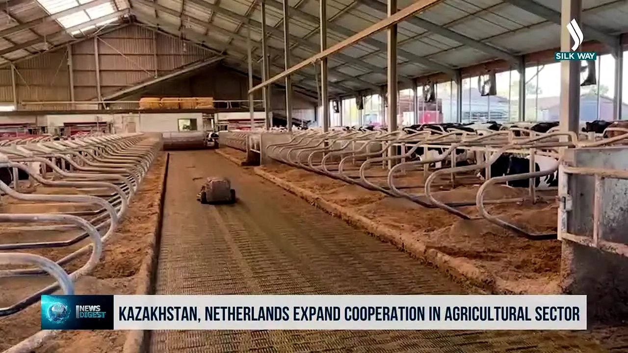 Silk Way in diretta