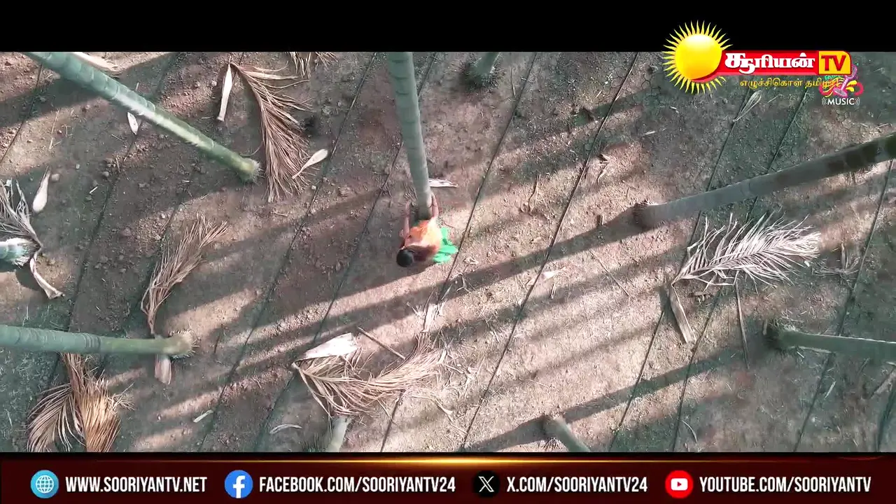 Sooriyan TV en vivo