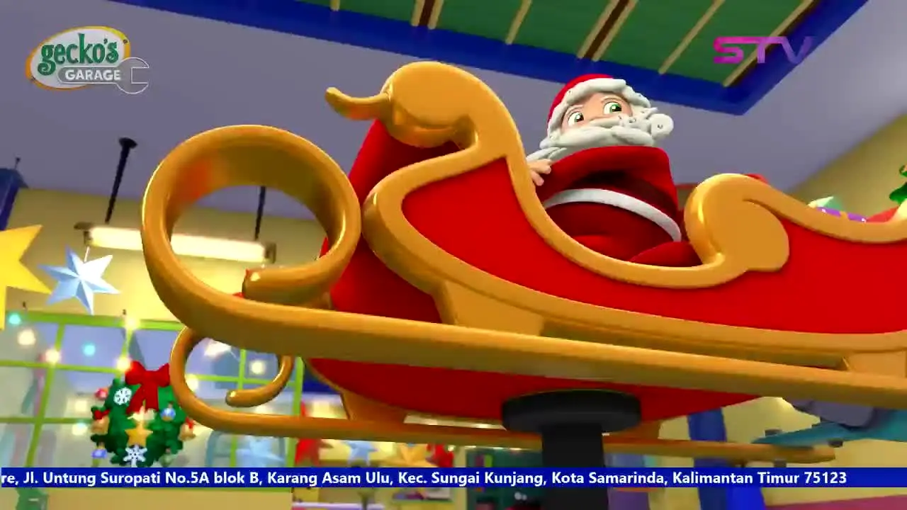 STV na żywo