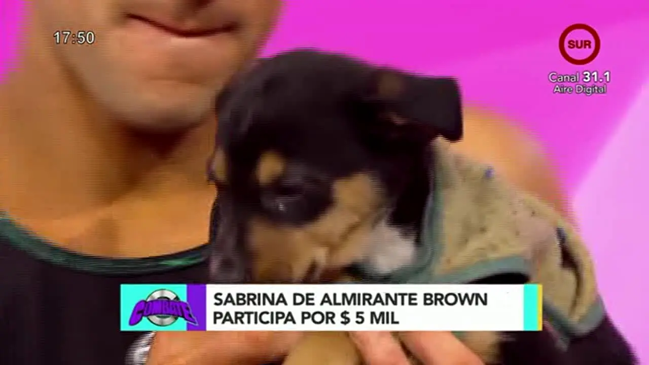 SUR TV Itapua live