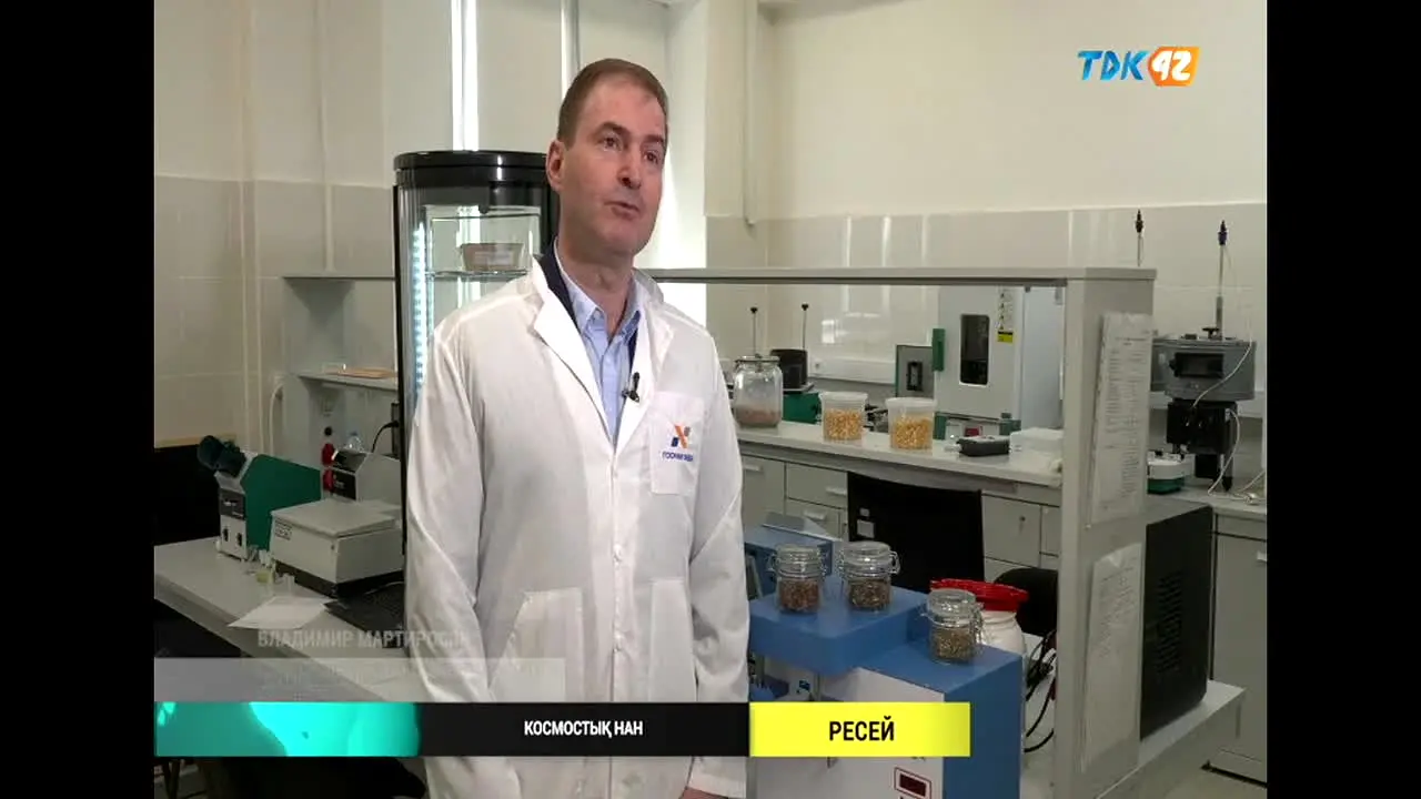 TDK 42 en vivo