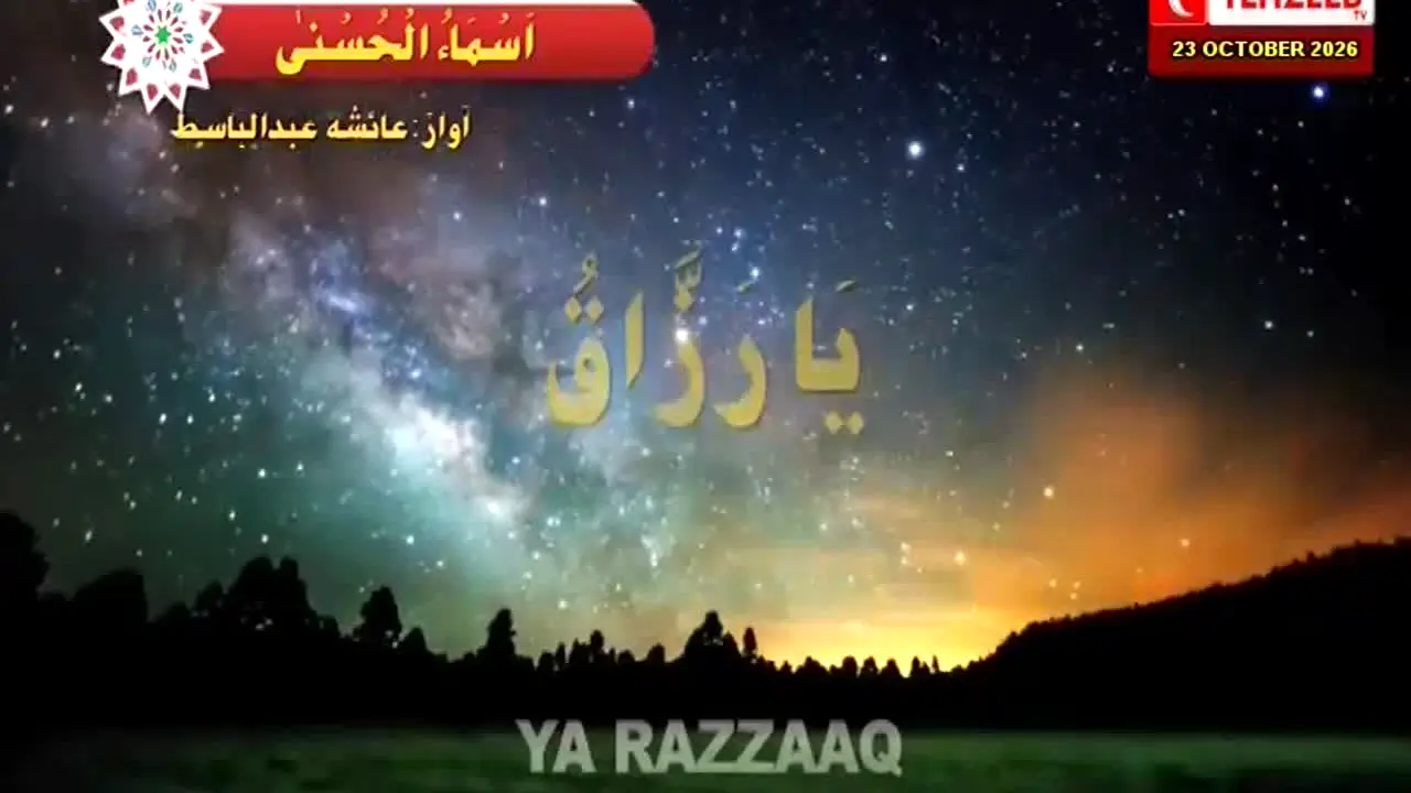 Tehzeeb TV ao vivo