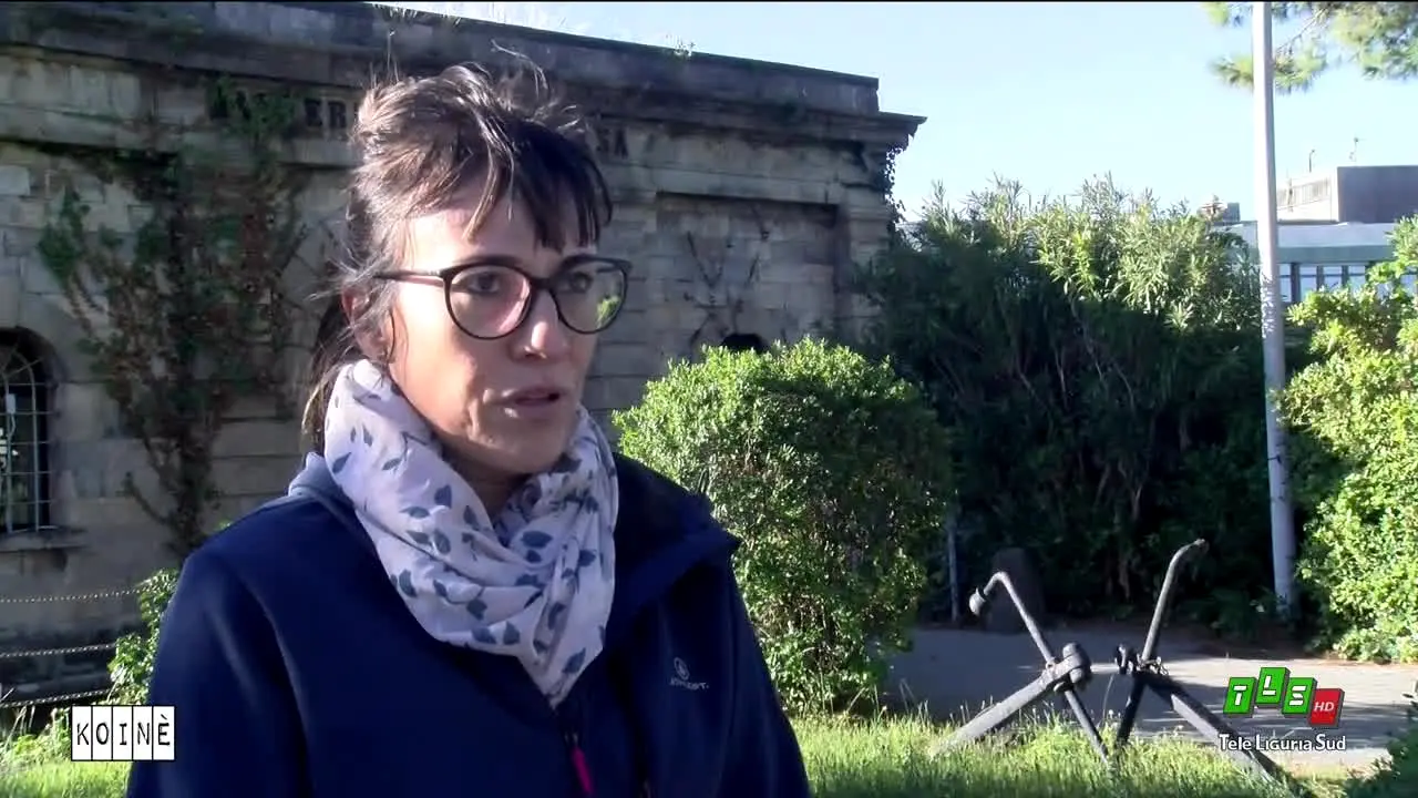 Tele Liguria Sud live