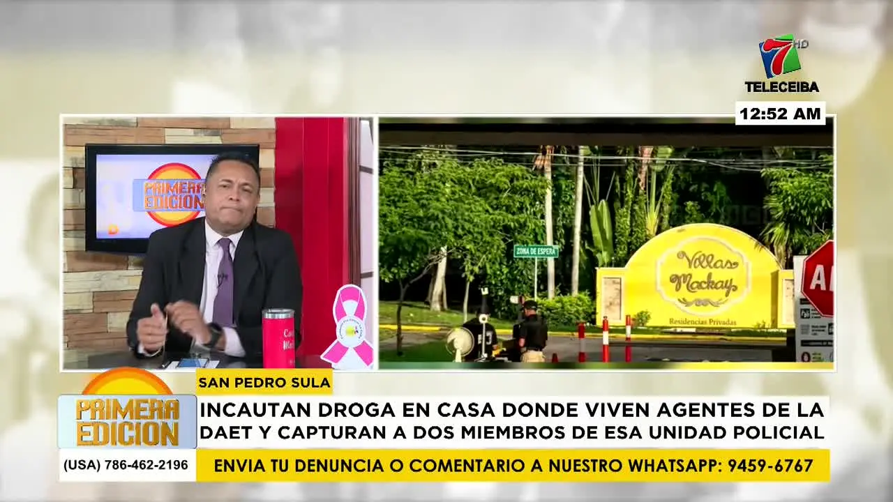 Teleceiba live