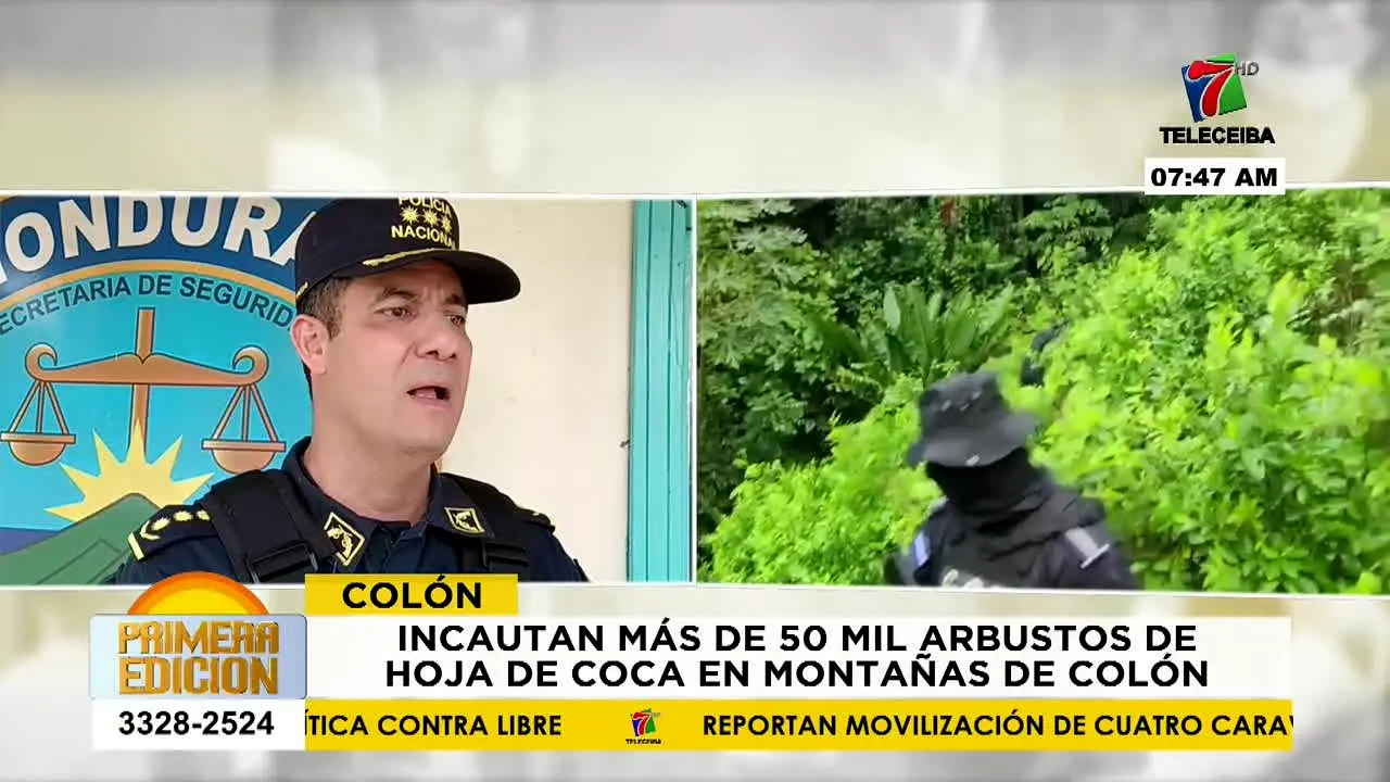 Teleceiba na żywo