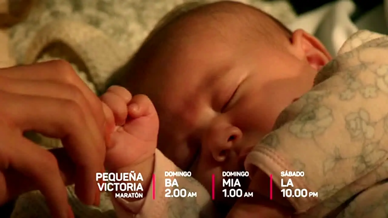 Telefe Internacional ao vivo