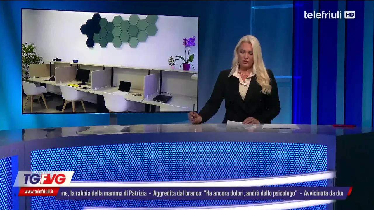 Tele Friuli live