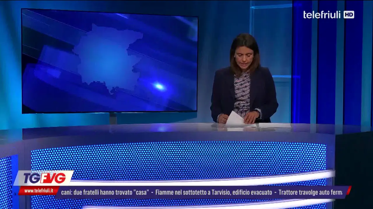 Tele Friuli live