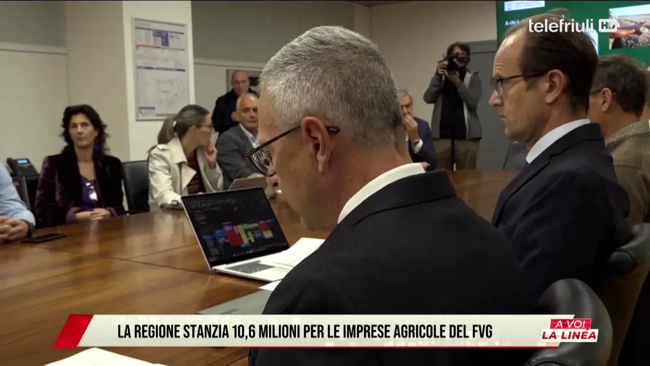 Tele Friuli live