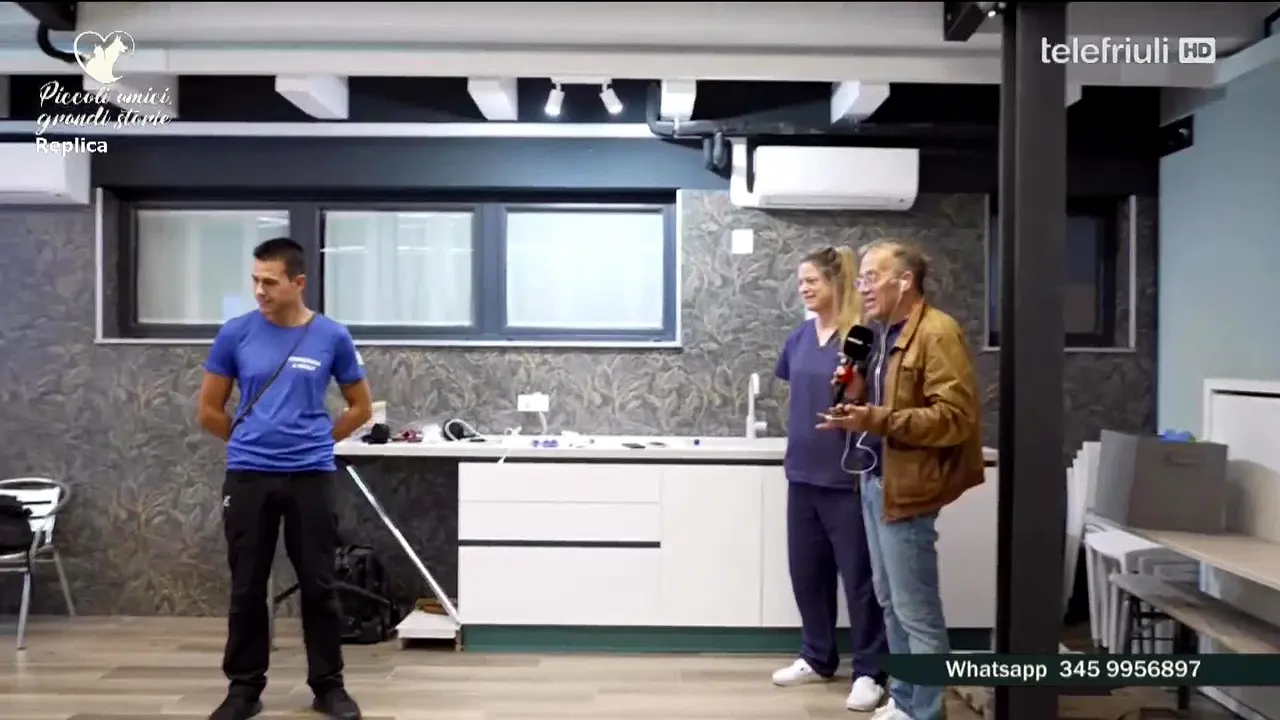 Tele Friuli in diretta