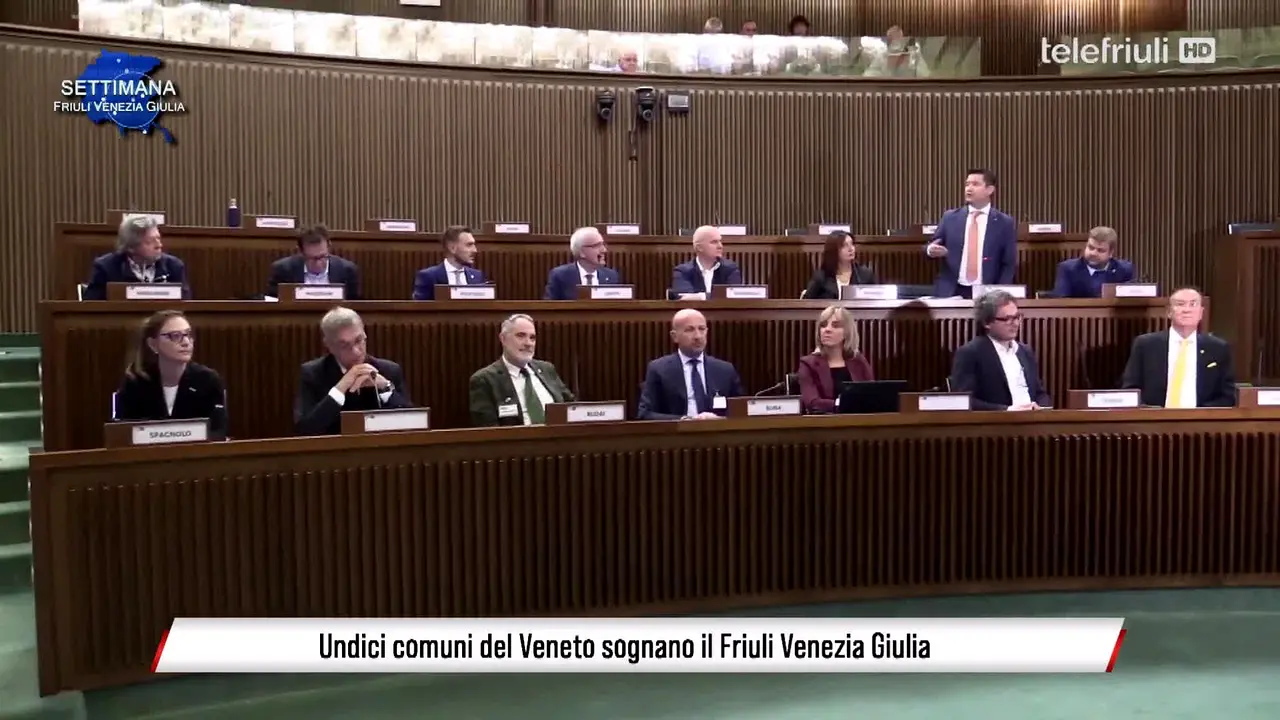 Tele Friuli live