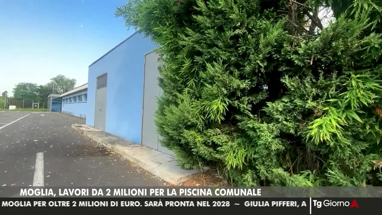Tele Mantova live