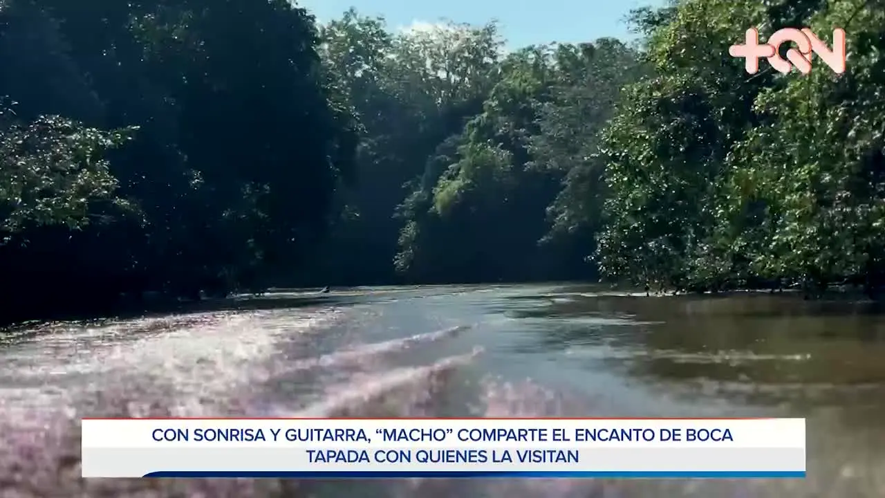Teletica 7 live