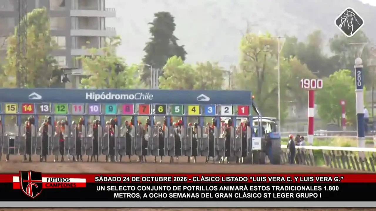Teletrak TV ao vivo