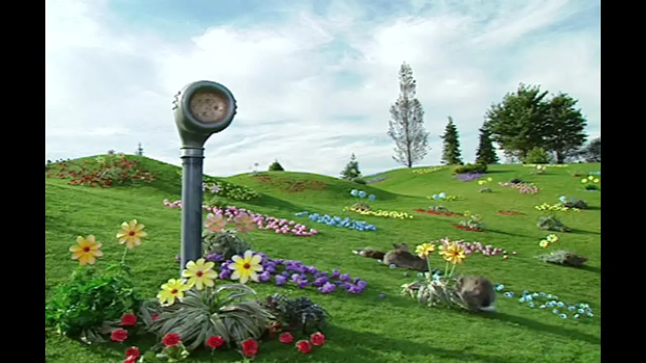 Teletubbies live