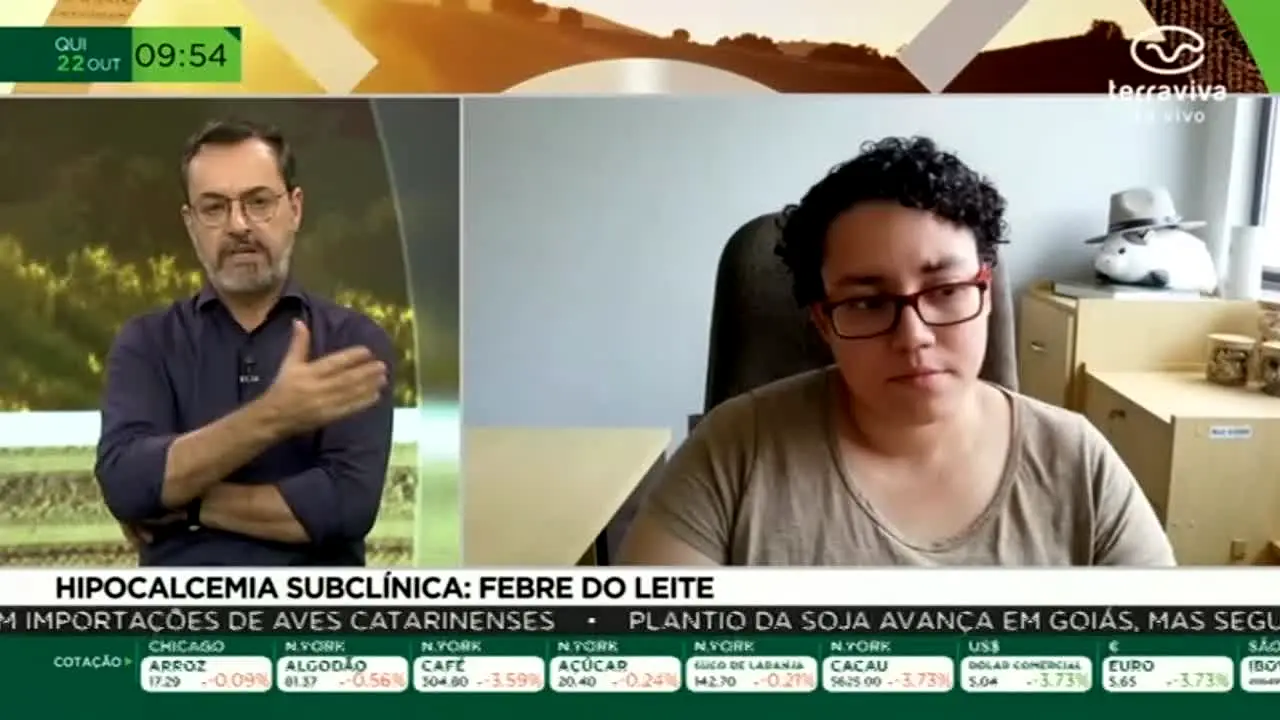 Terra Viva live