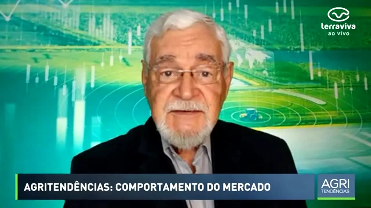 Terra Viva en vivo