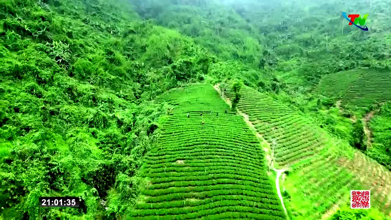 Thai Nguyen TV live