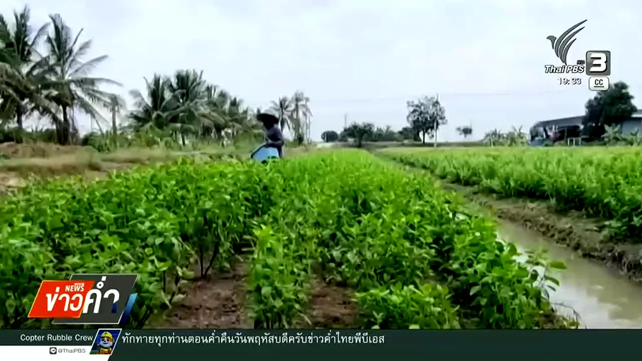 Thai PBS live