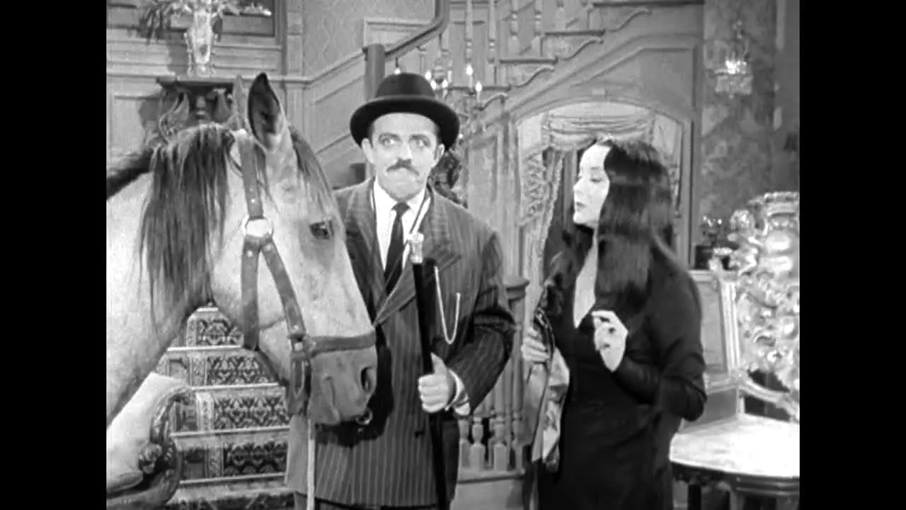 The Addams Family live