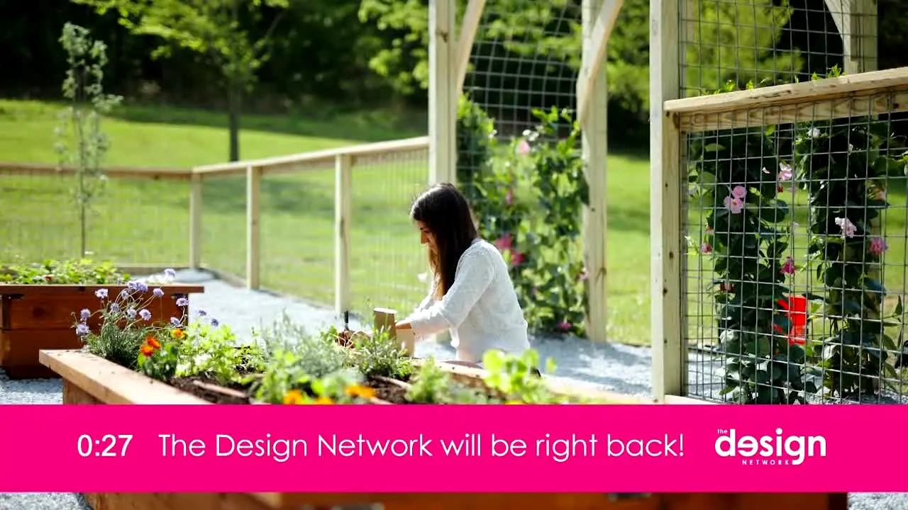 The Design Network live
