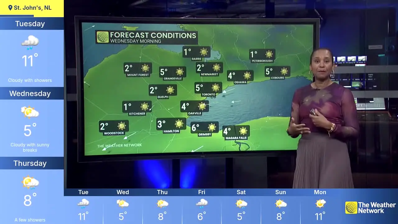 The Weather Network live