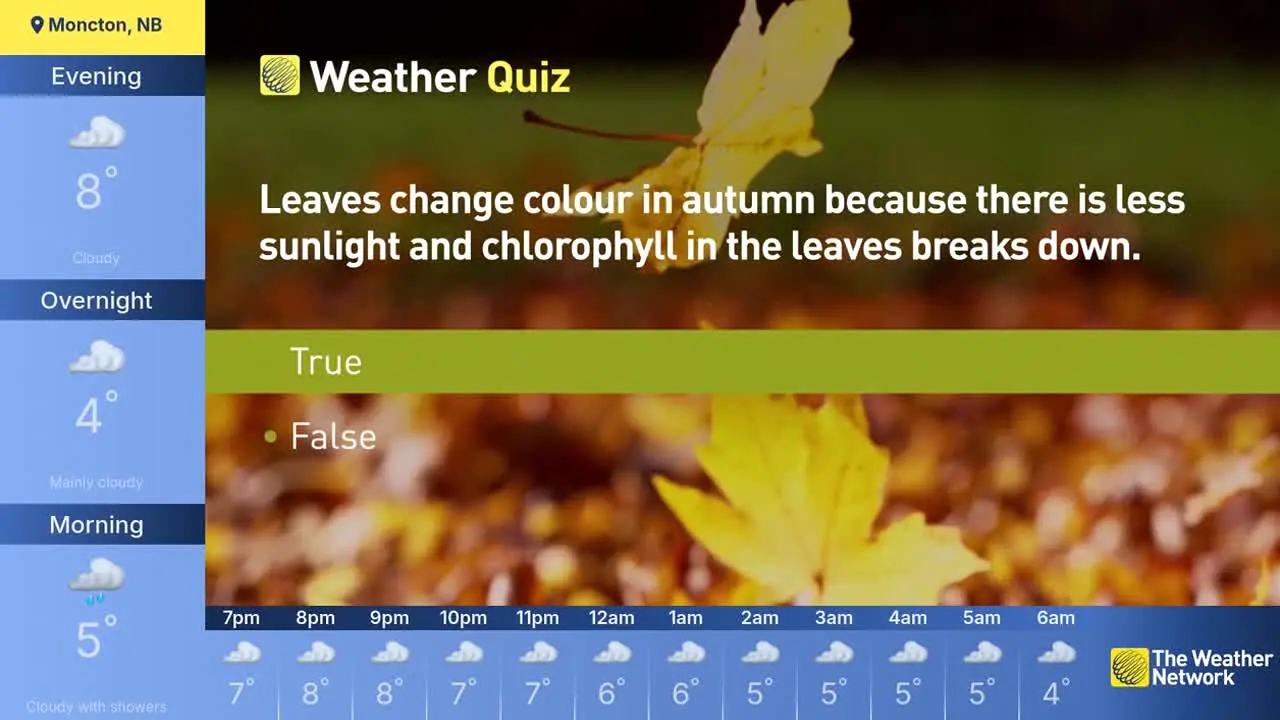 The Weather Network live
