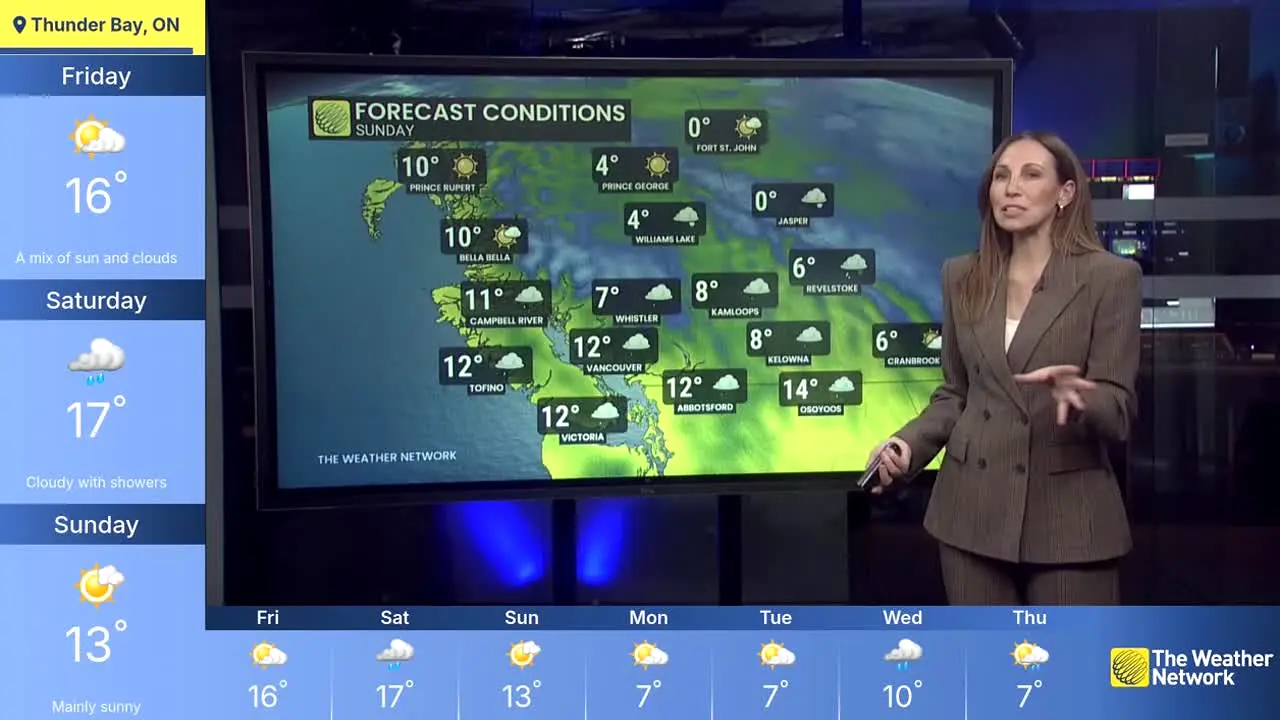 The Weather Network ao vivo