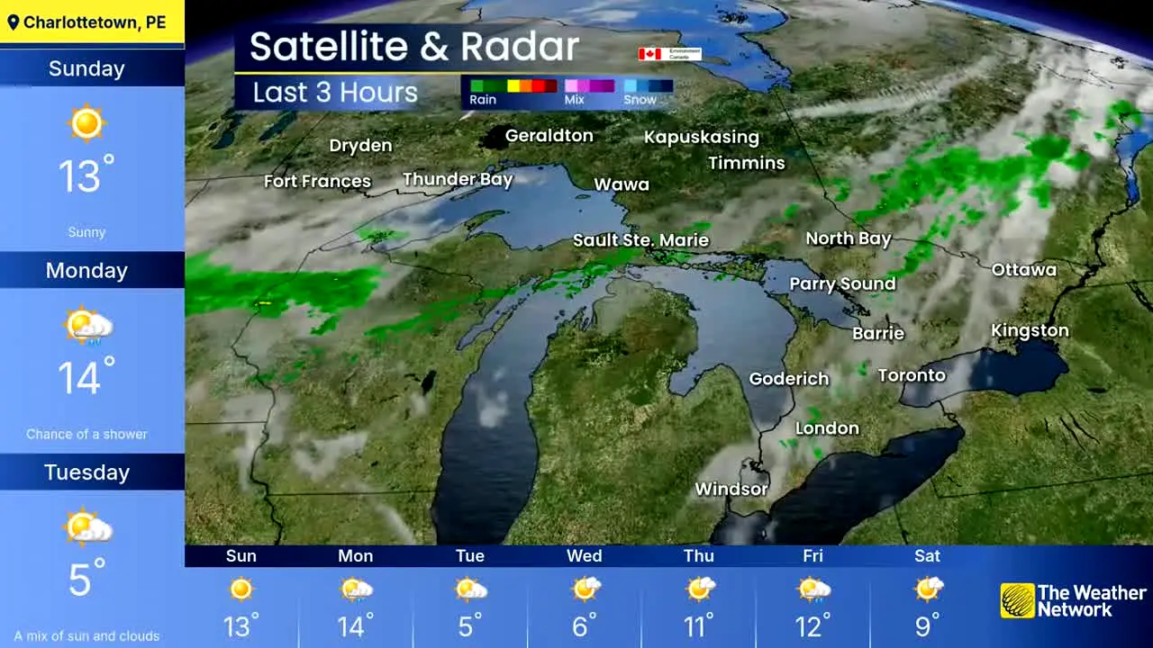 The Weather Network live