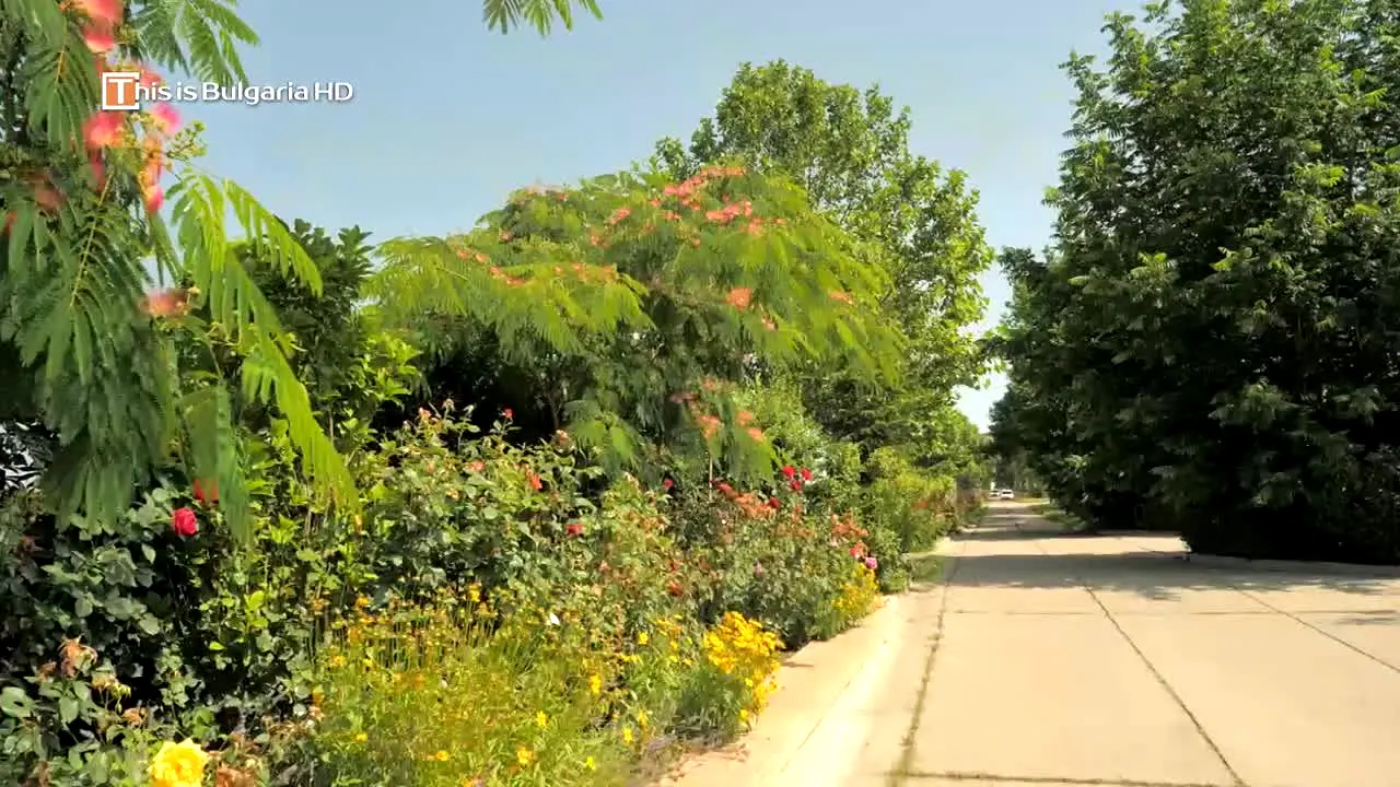 This is Bulgaria in diretta