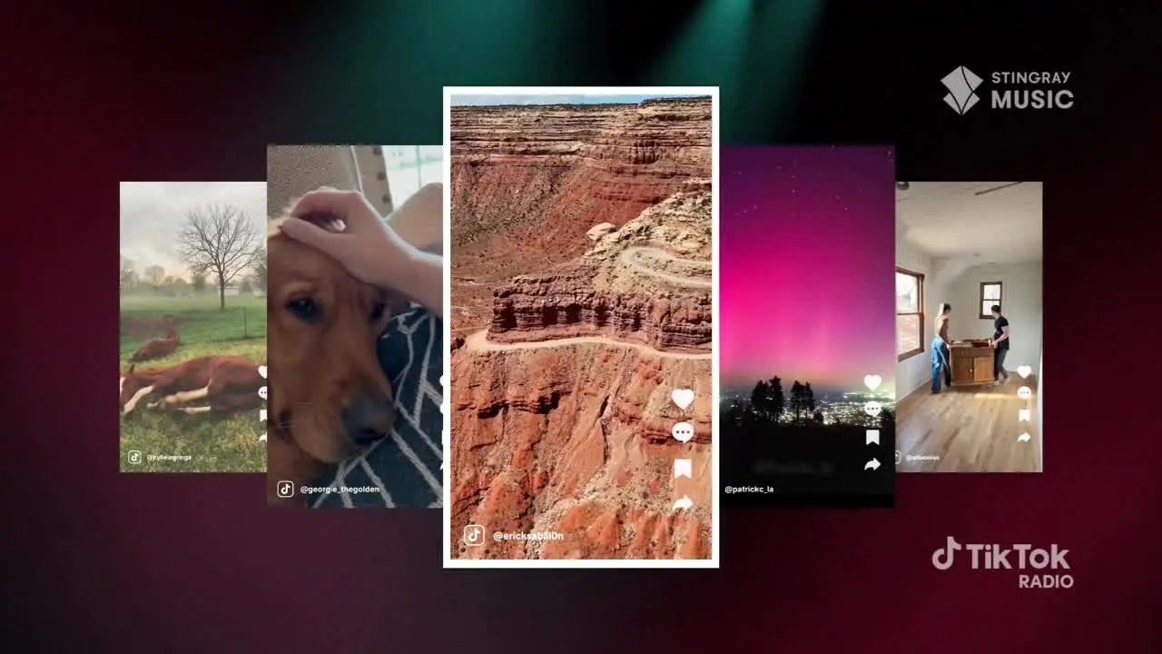 TikTok Radio Brasil live