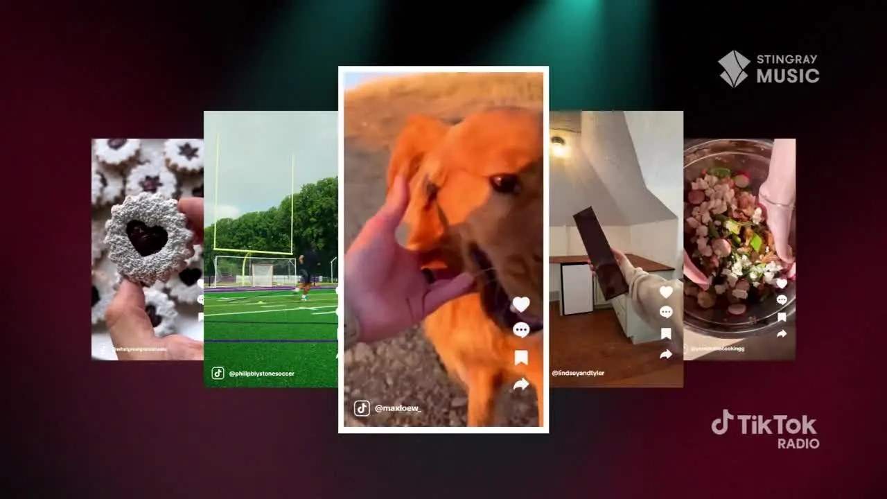 TikTok Radio Brasil live